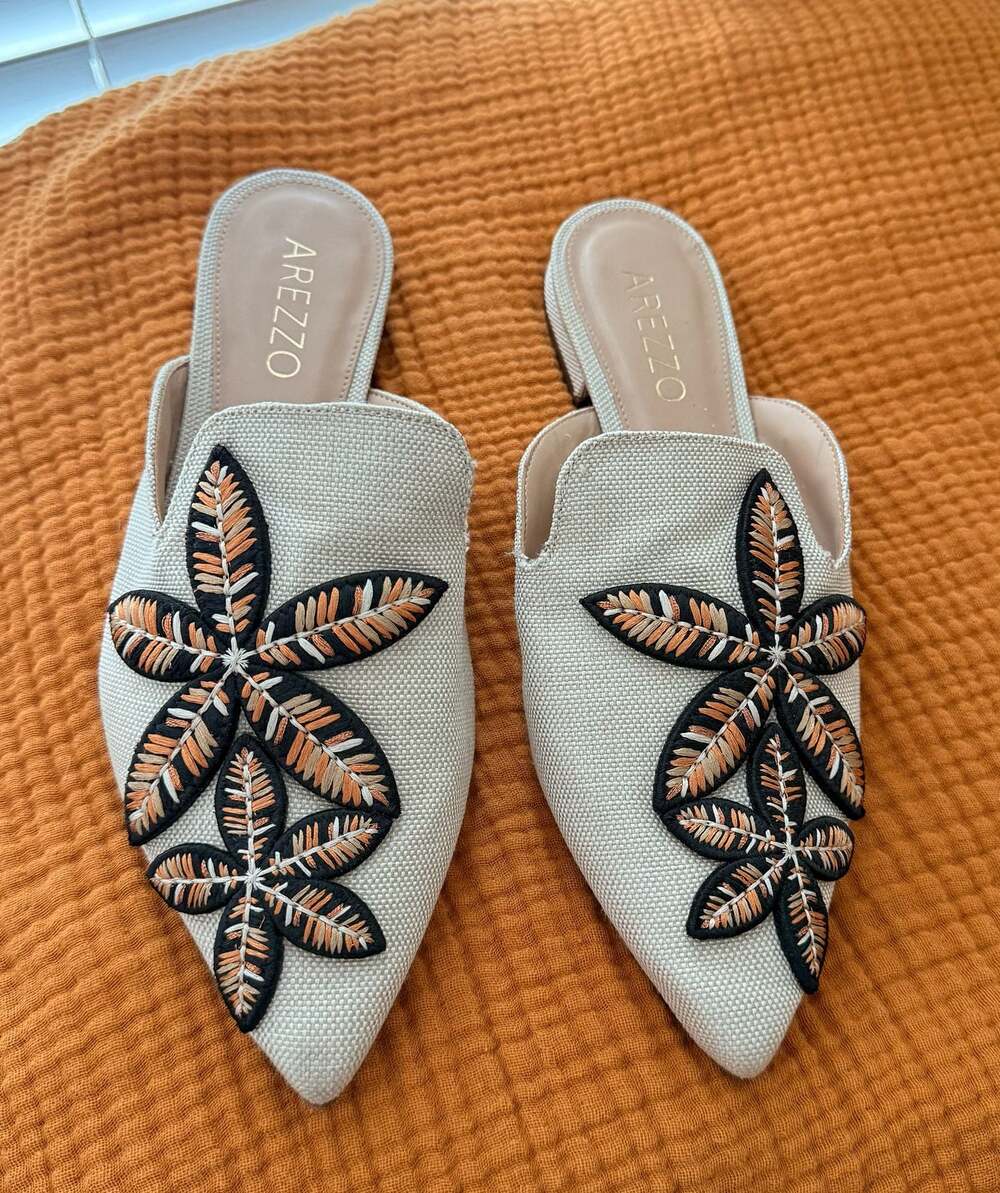 Arezzo Jaque Women's Embroidered linen Fabric Pointed Toe Flat Mules